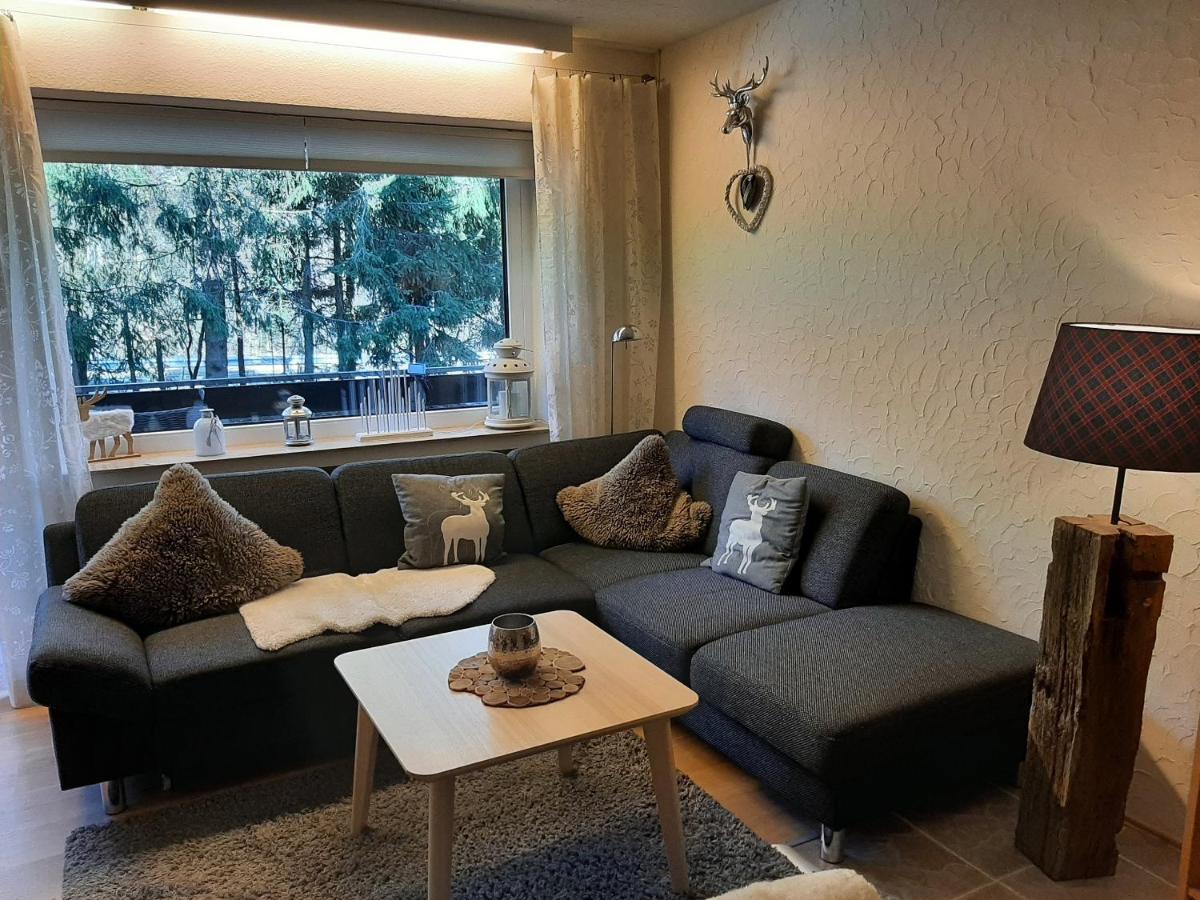 Apartment Am Bikepark Mit Kamin Und Sauna Winterberg Ngoại thất bức ảnh