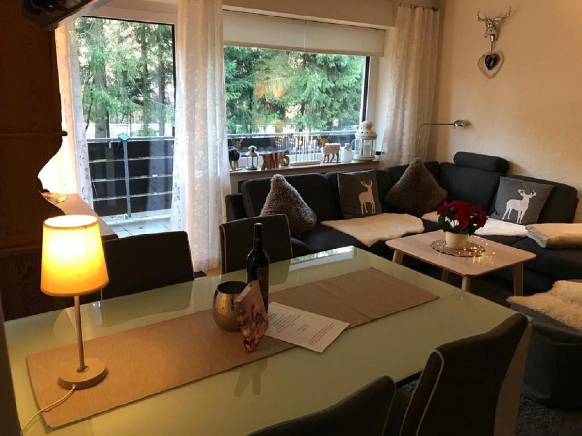 Apartment Am Bikepark Mit Kamin Und Sauna Winterberg Ngoại thất bức ảnh